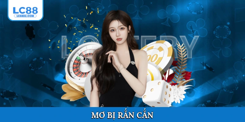 Mơ bị rắn cắn