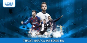 Thuật ngữ cá độ bóng đá
